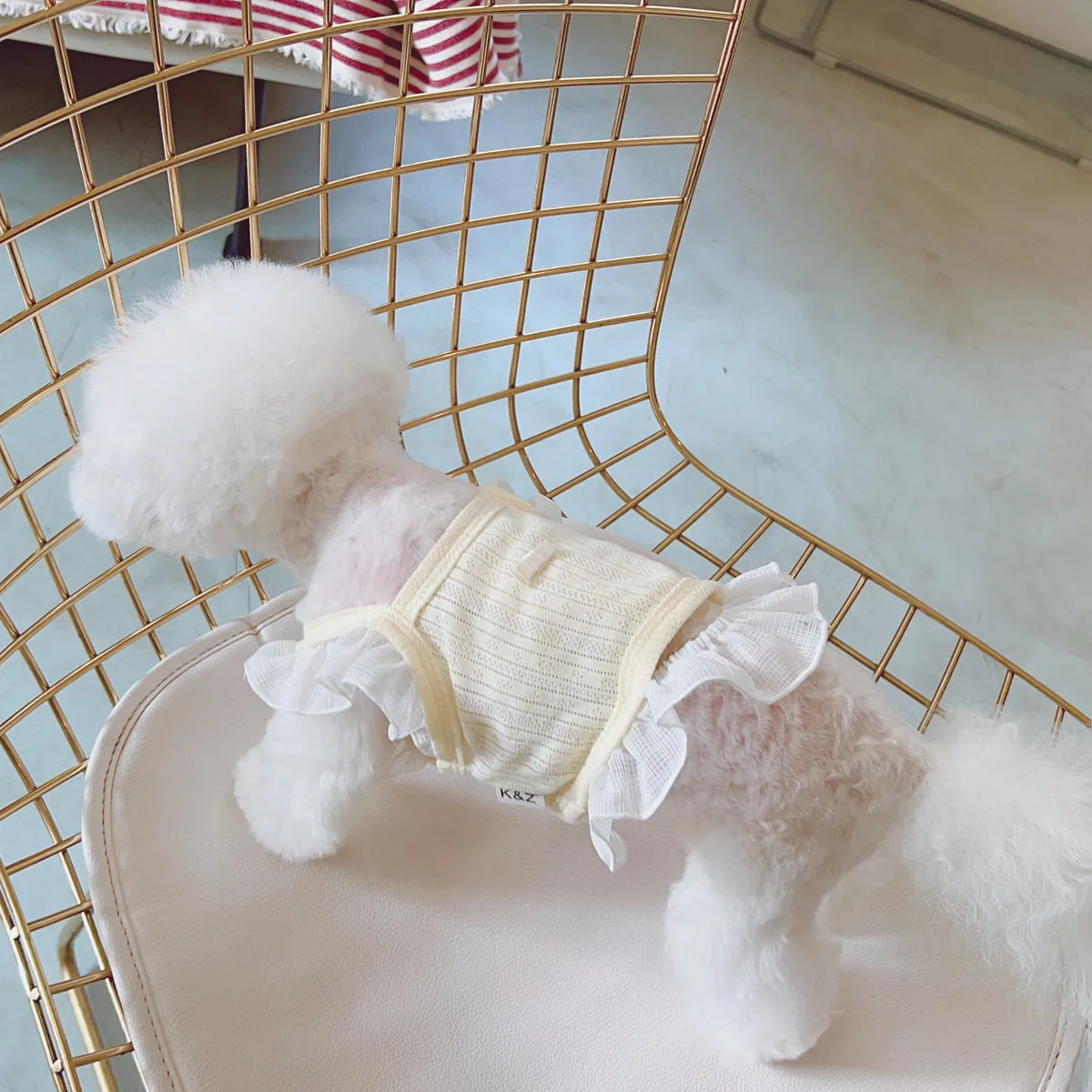 Breathable Lace Shoulder Cat Dog Vest