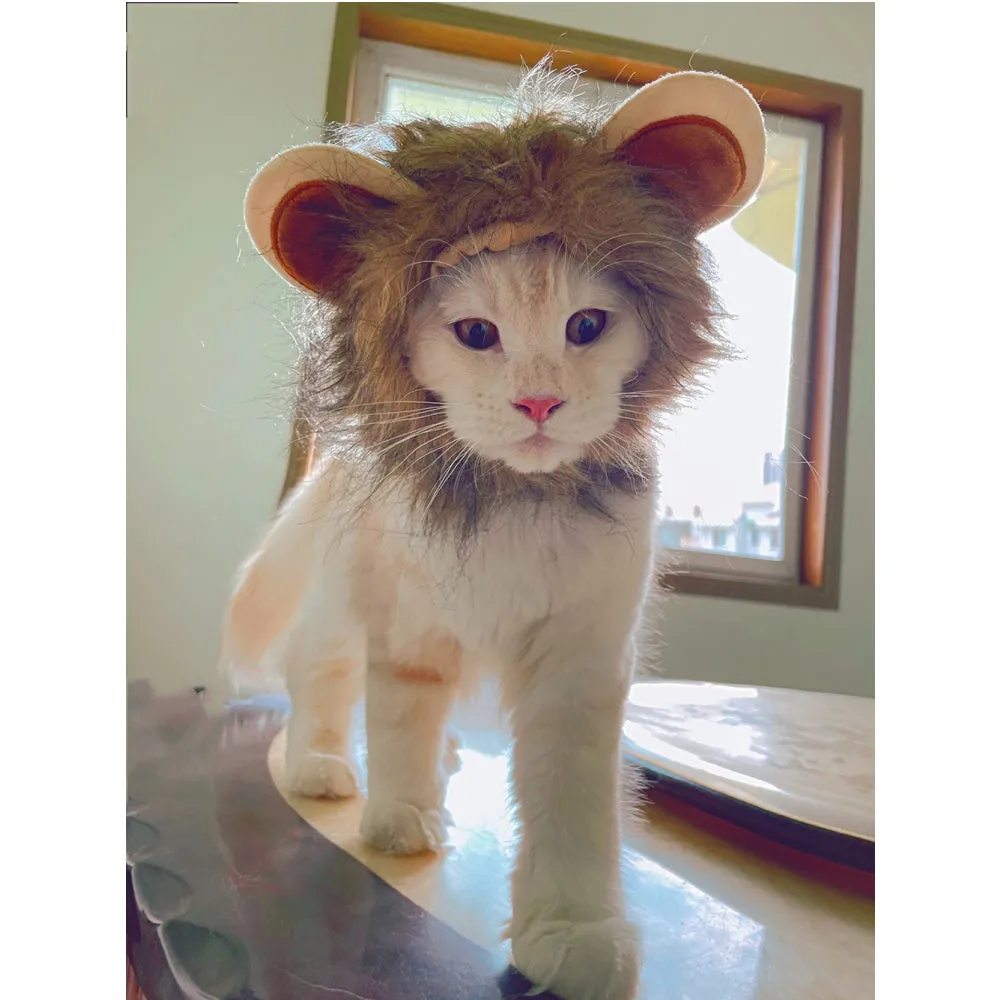 Pet Costume Cosplay Lion Mane Wig Cap for Cat Dog
