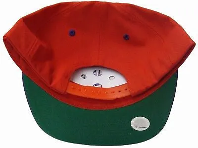 Toronto Raptors Snapback Retro Cap Hat Vince Carter RP